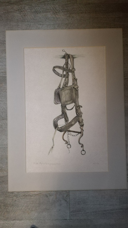 Valckx Petrus, Geaquarelleerde ets, Paardengetuig kopen? Bied vanaf 1!