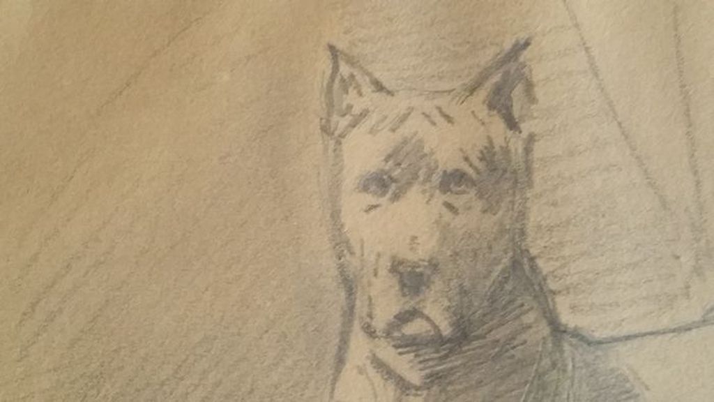 Deense Dog kopen? Bied vanaf 500!