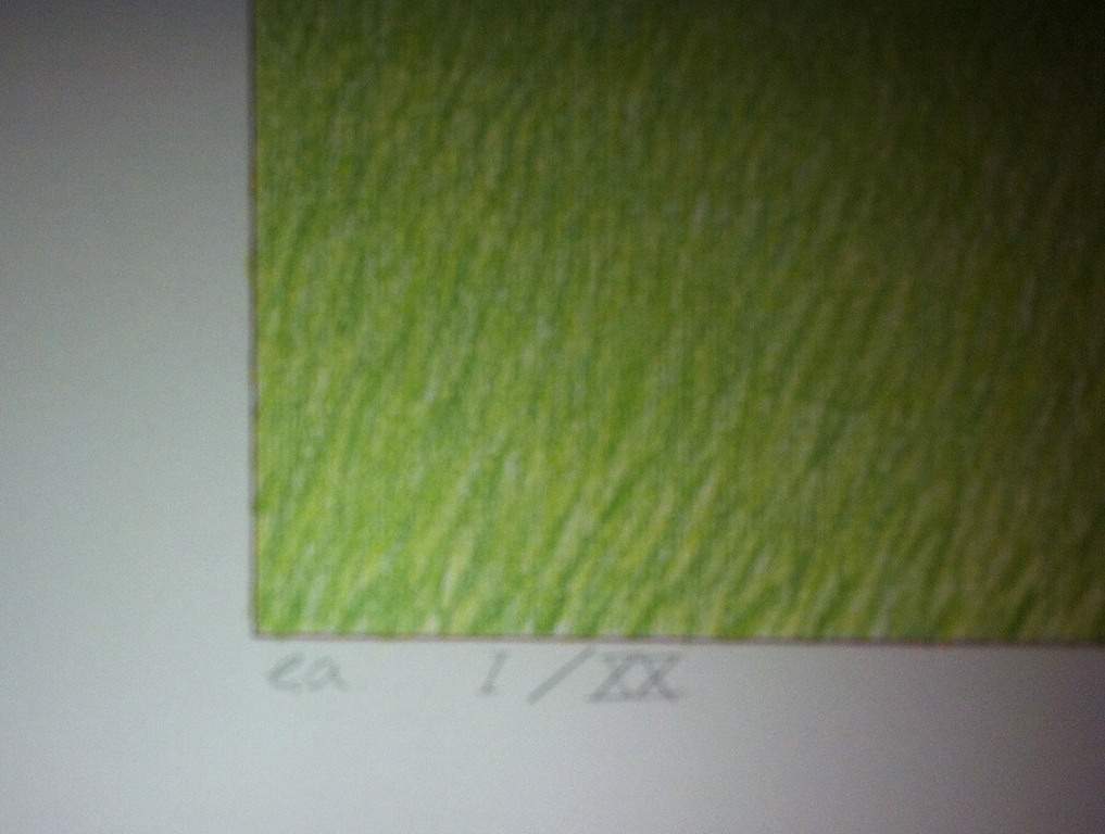 René Boin: zeefdruk, zonder titel  kopen? Bied vanaf 40!