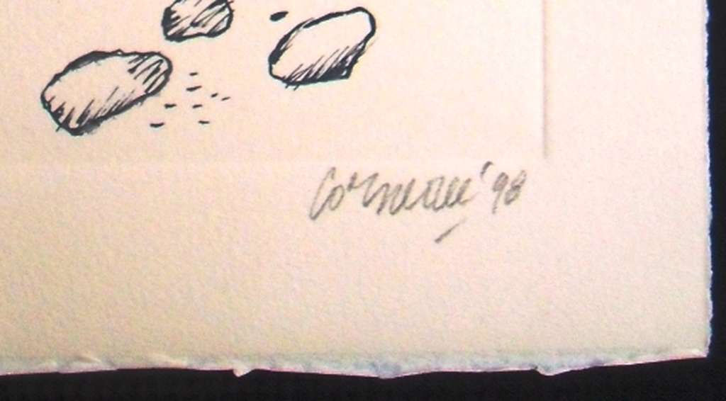 Corneille: zee,strand en dier kopen? Bied vanaf 1!