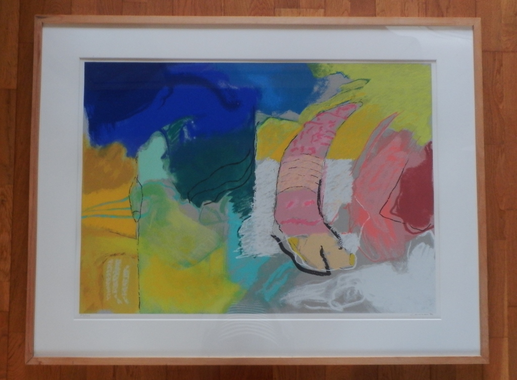 HENK van VESSEM Gr.Zeefdruk HOORN DES OVERVLOEDS handgesigneerd en INGELIJST verkocht voor € 75!