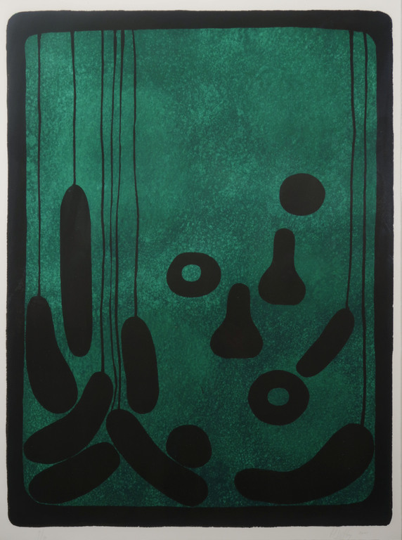 Hans Hovy: Litho, Z.T. Groen - Ingelijst kopen? Bied vanaf 35!