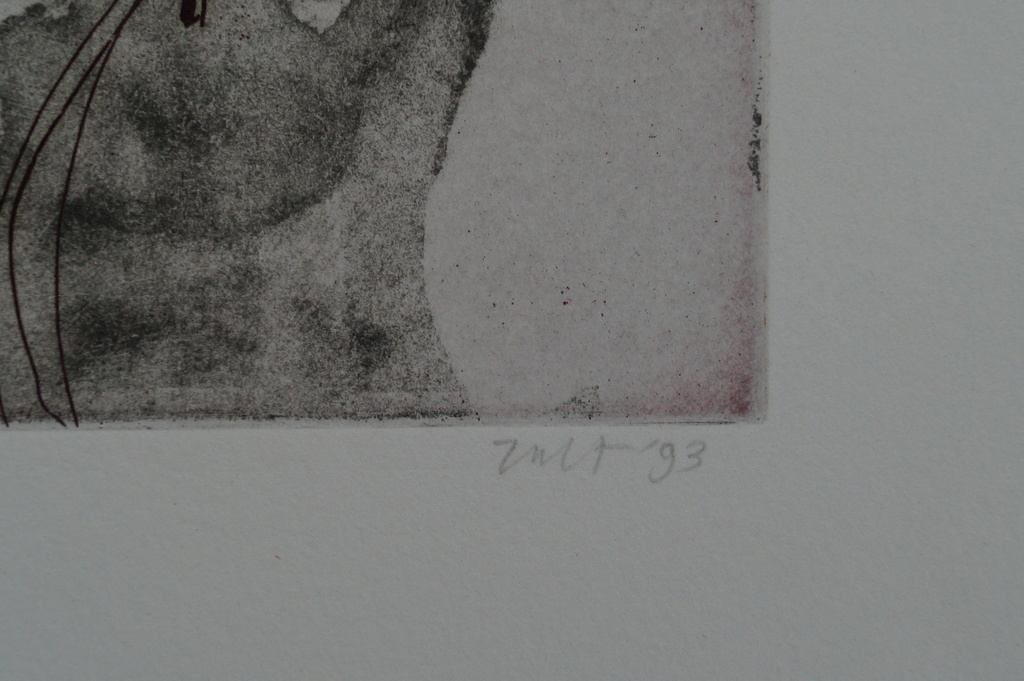 Marian Zult - gesigneerde ets - 1993 kopen? Bied vanaf 15!