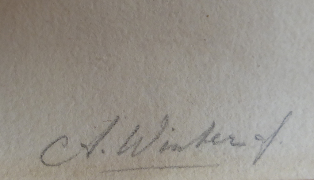 Mooie deels ingekleurde aquarel  kopen? Bied vanaf 115!