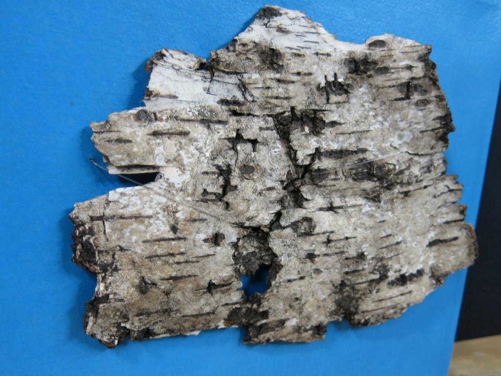 Eelco Prent: Gemengde techniek, Free like a bird kopen? Bied vanaf 40!