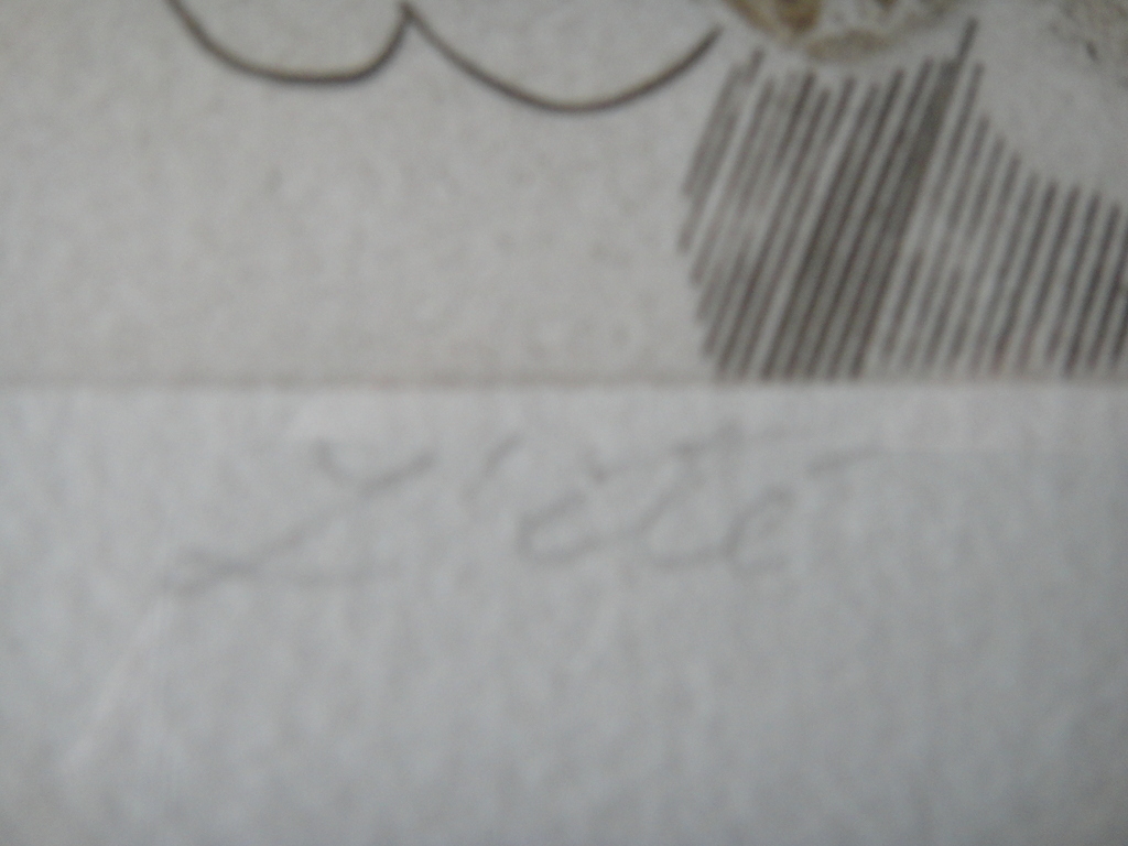 Kemal Sirbegovic, ets, " l'eté " kopen? Bied vanaf 1!