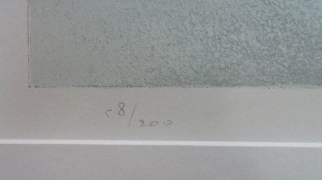 Mart Kempers: Litho, Landschap - Ingelijst kopen? Bied vanaf 1!