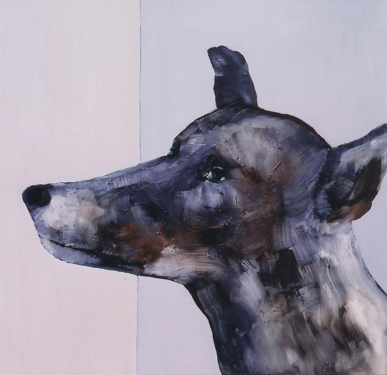 Dog (2) kopen? Bied vanaf 150!