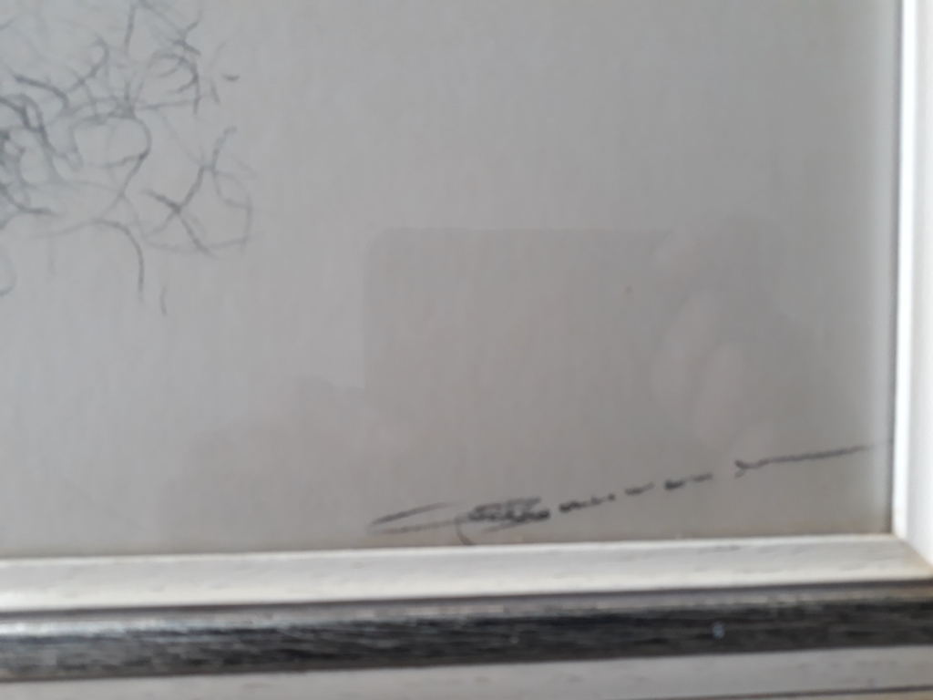 Gerard Bauwens, Tekening, Portret Dame kopen? Bied vanaf 1!