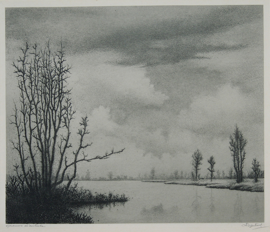 Dirk Harting, ets, plas in de winter verkocht voor € 40!