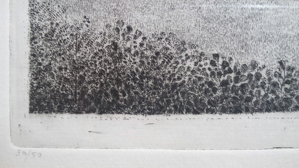 Charles Donker - Rhijnauwen, ets (ingelijst) kopen? Bied vanaf 225!