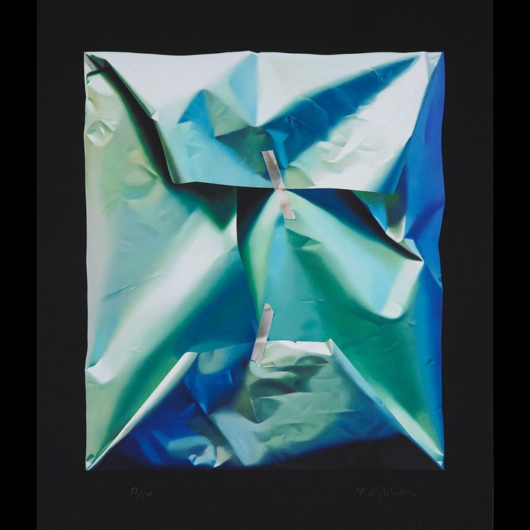 Yrjo Edelmann: Giclee, The visual Pathway to Green verkocht voor € 110!