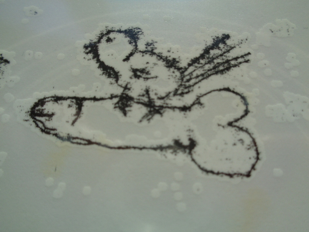 TRACEY EMIN, SINGING BIRD, multiple Tattoo, Biennale di Venezia 2007 kopen? Bied vanaf 1!