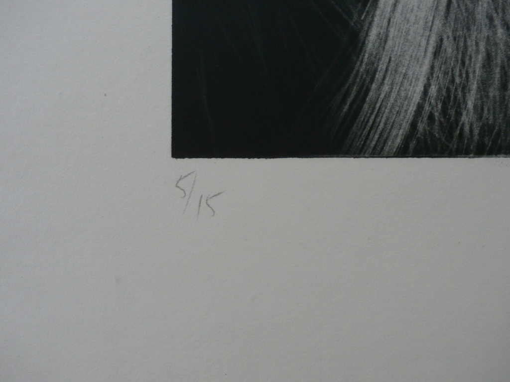 Martin Engelman - mezzotint - 1969 kopen? Bied vanaf 55!