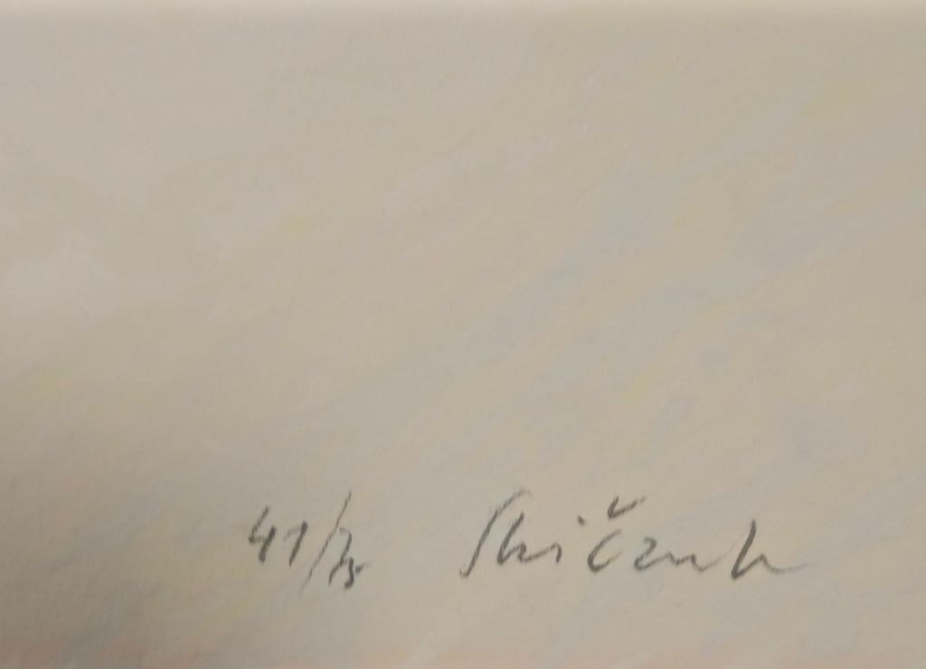 Stanco Skiczuk: Zeefdruk, Regenboog kopen? Bied vanaf 1!