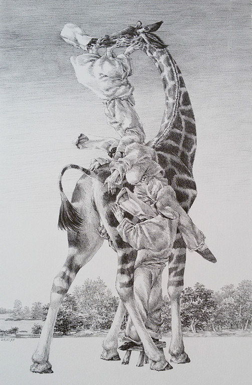 Peter Vos - Gevoelens, litho verkocht voor € 300!