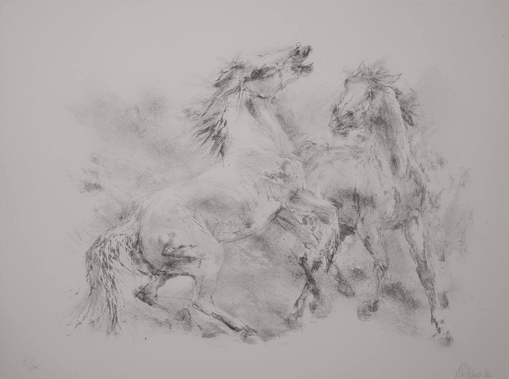 Piet Klaasse: Litho, Paarden kopen? Bied vanaf 1!