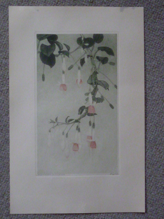 Dirk Harting - aquatint - Hangende fuchsia kopen? Bied vanaf 90!