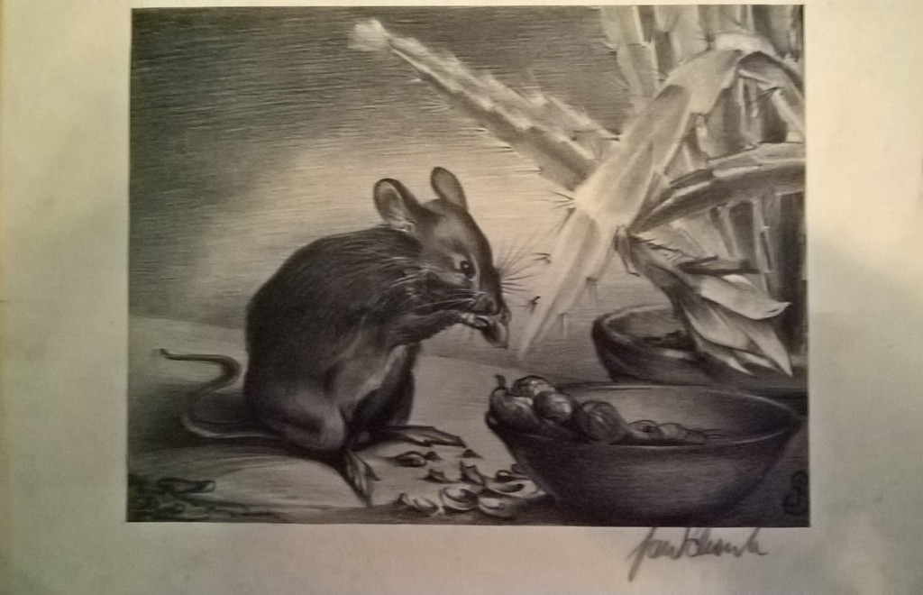 Jan Schonk, litho, muis kopen? Bied vanaf 20!