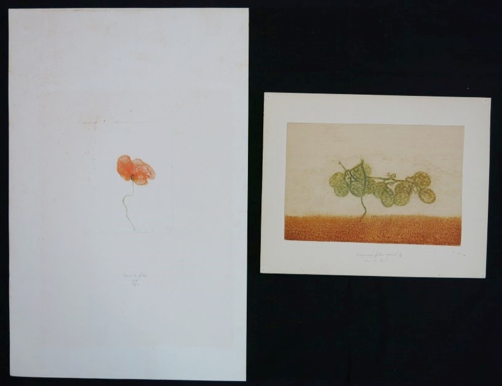 Eduard Flor: 2x Ets, Bloem verkocht voor € 55!