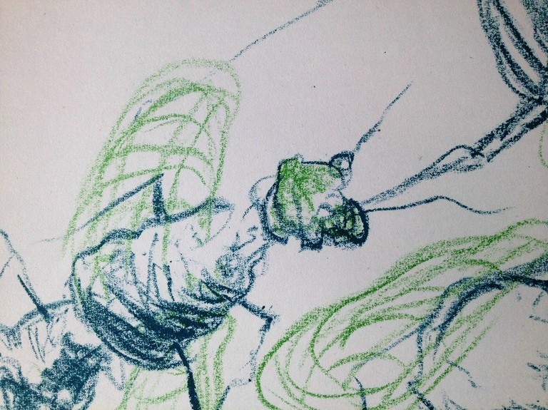 Alain Teister : Kleurenlitho , zonder titel naar mierengedicht Remco Campert kopen? Bied vanaf 1!