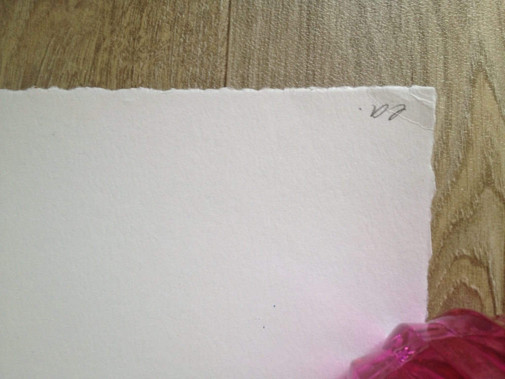 Herman Brood, grote gesigneerde zeefdruk, Hips kopen? Bied vanaf 200!