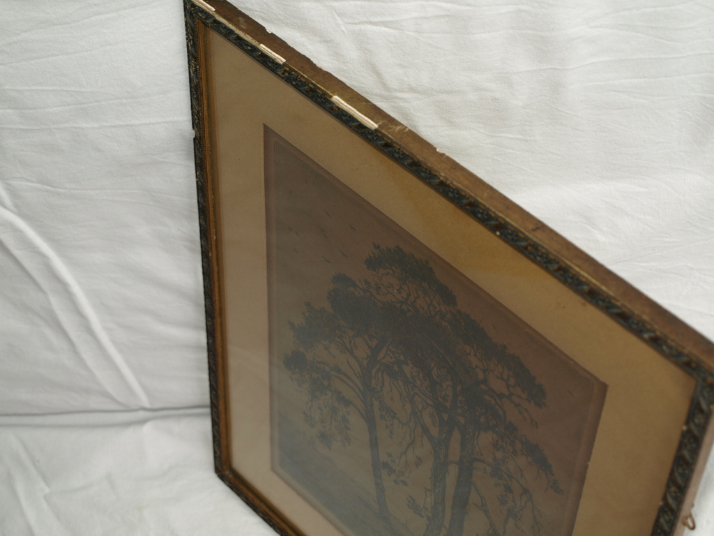 SUZE DE LINT (1878-1953) – Ets- Bomen  –Gesigneerd & ingelijst–ca 1920 kopen? Bied vanaf 45!