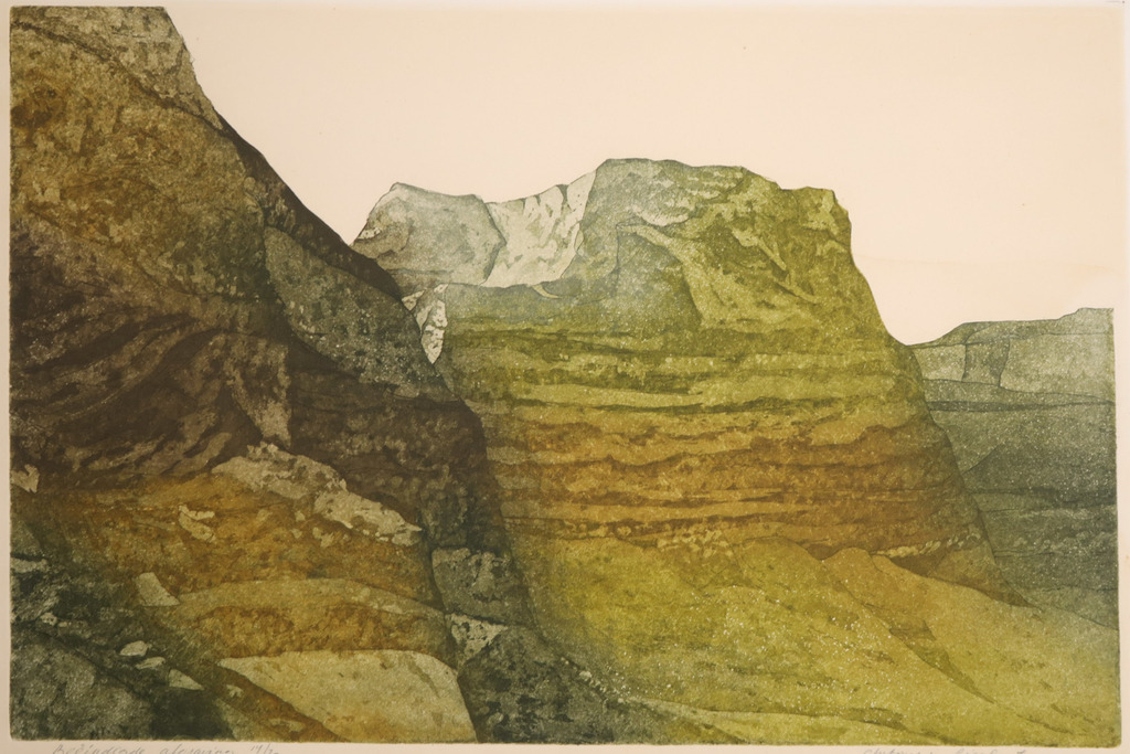 Anthony van Lieshout: Ets en aquatint, Beeindigde afgraving kopen? Bied vanaf 1!