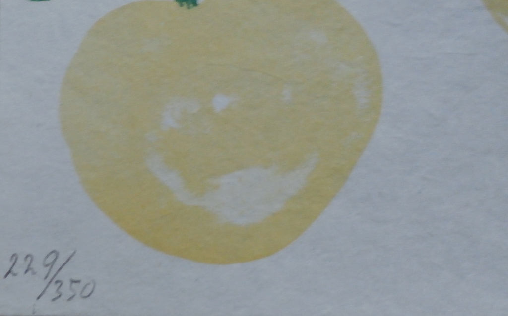 Klaas Gubbels, litho: De Appels, handgesigneerd en genummerd, 2007 kopen? Bied vanaf 95!