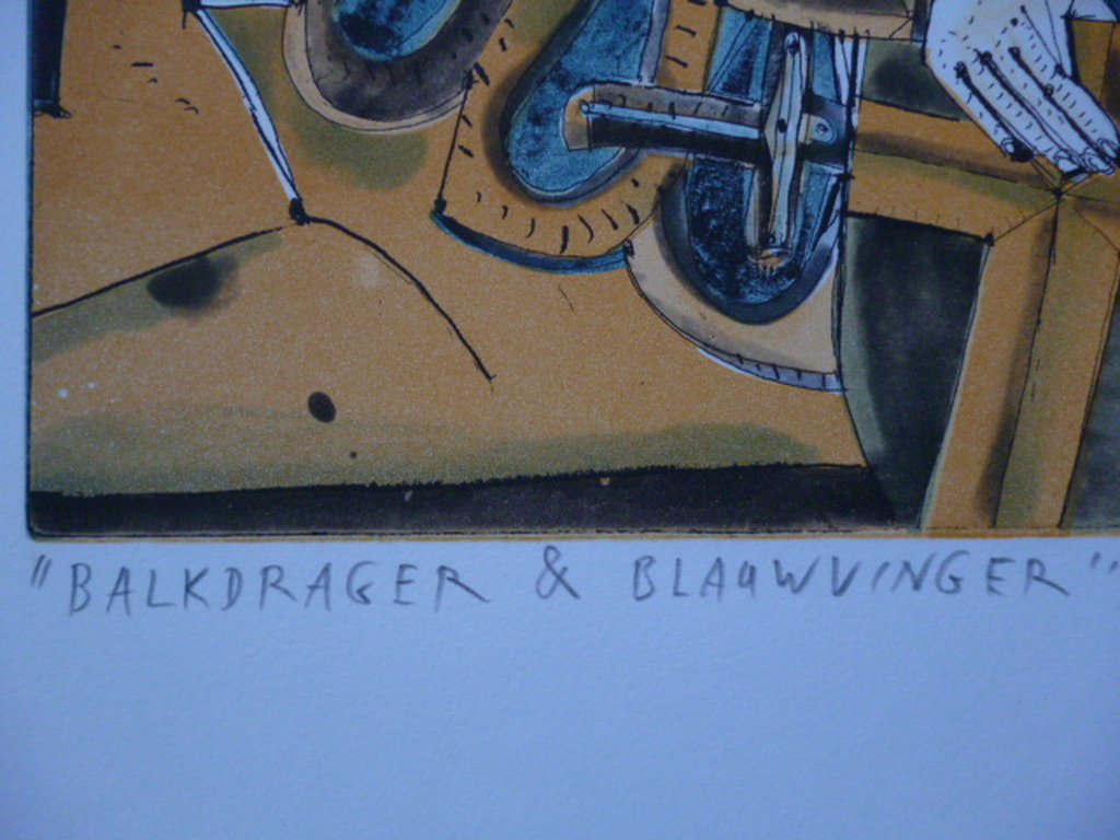 Stanislaw Wejman - aquatint in kleuren - Balkdrager & Blauwvinger kopen? Bied vanaf 35!
