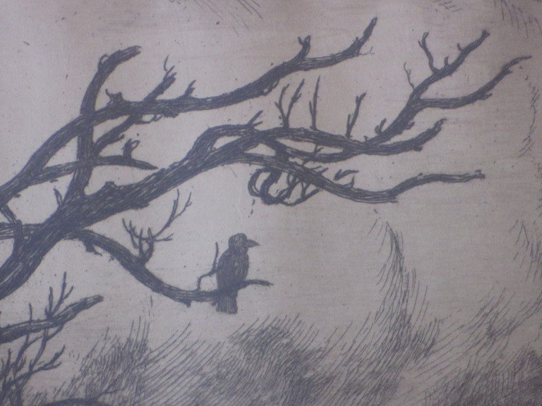 J.C. Nachenius, De Jeneverboom, Ets kopen? Bied vanaf 1!