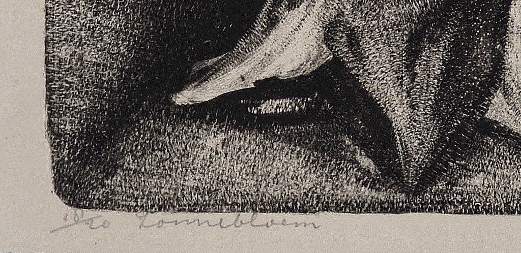 Aart van Dobbenburgh: Litho - Zonnebloem - 1923 kopen? Bied vanaf 45!