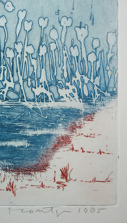 Jan Montyn - Waterbloemen West Bengalen, aquatint ets kopen? Bied vanaf 150!