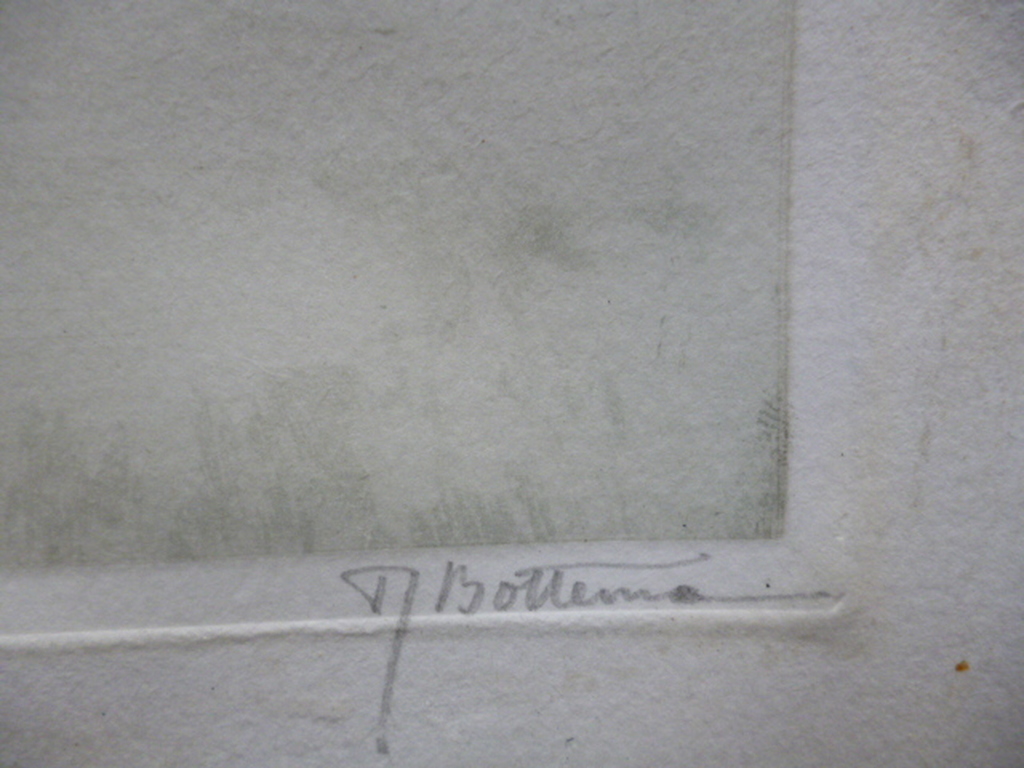 Tjeerd Bottema - kleurenets - Eksters op het ijs kopen? Bied vanaf 100!