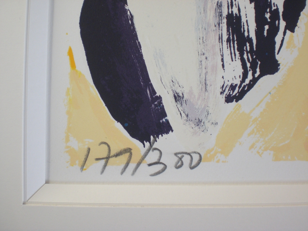 Jan Cremer - Ten Tulips, zeefdruk (mooi ingelijst, groot) kopen? Bied vanaf 350!