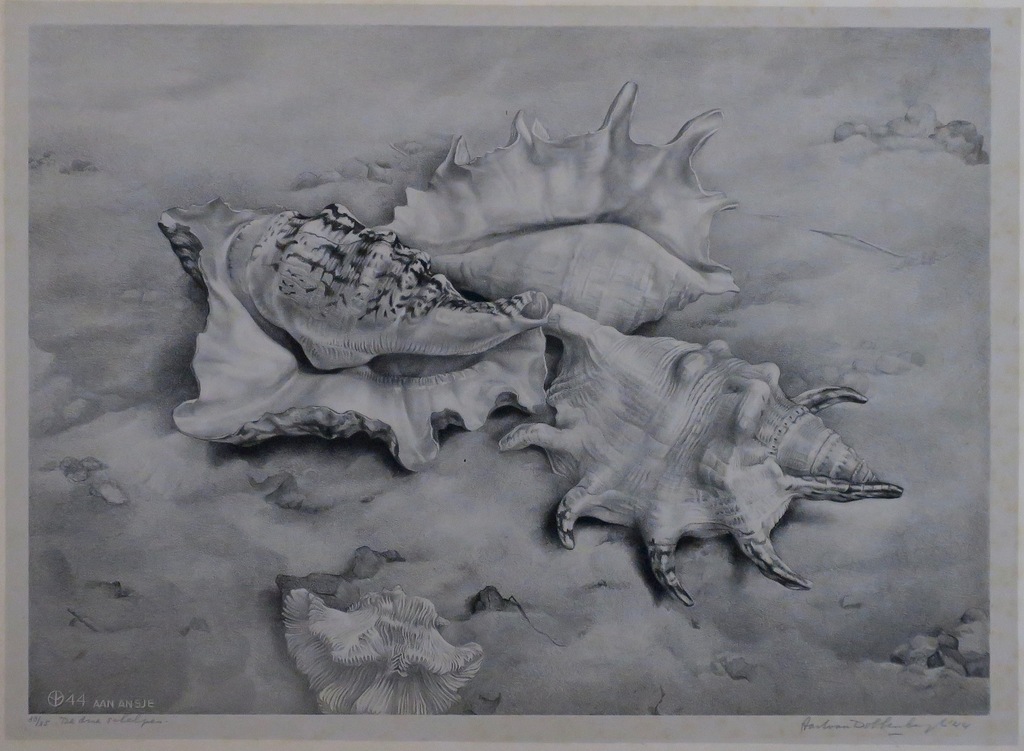 Aart van Dobbenburgh: Chine-Colle Litho, De drie schelpen kopen? Bied vanaf 1!