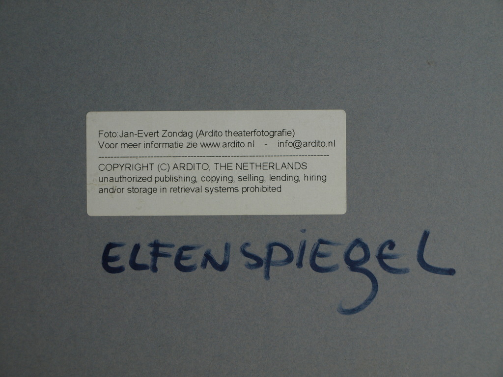 Ardito / Jan-Evert Zondag : Elfenspiegel, 25 x 38 cm  kopen? Bied vanaf 1!