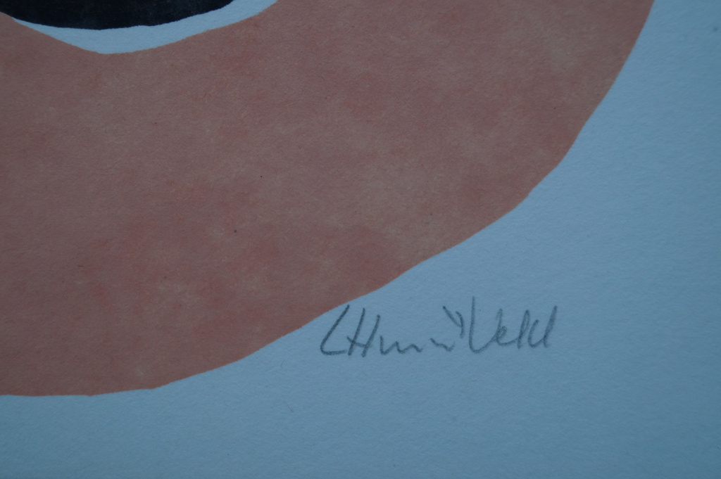 Loes Huis in 't Veld - gesigneerde zeefdruk - 42 ex. kopen? Bied vanaf 20!