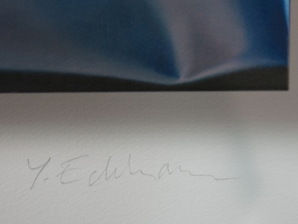 Yrjo Edelmann: Giclee, The black Evidence kopen? Bied vanaf 100!
