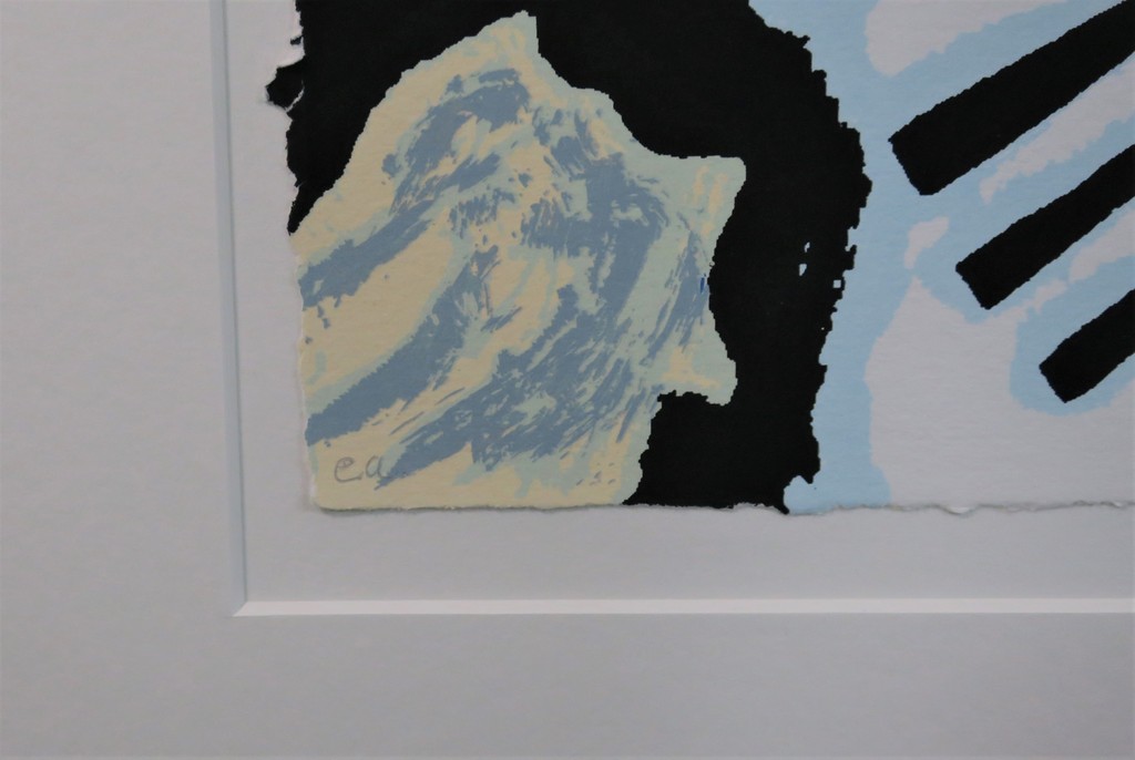 Herman Brood: Zeefdruk, Johnny Meijer (Groot) kopen? Bied vanaf 150!