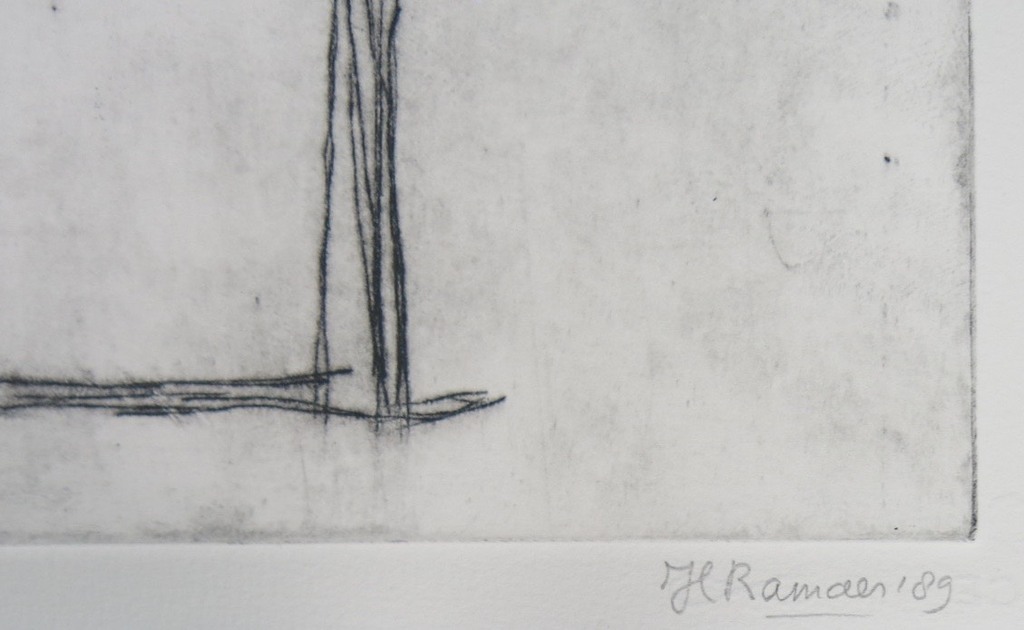 Hanny Ramaer: Droge naald, Dierlijk kopen? Bied vanaf 1!