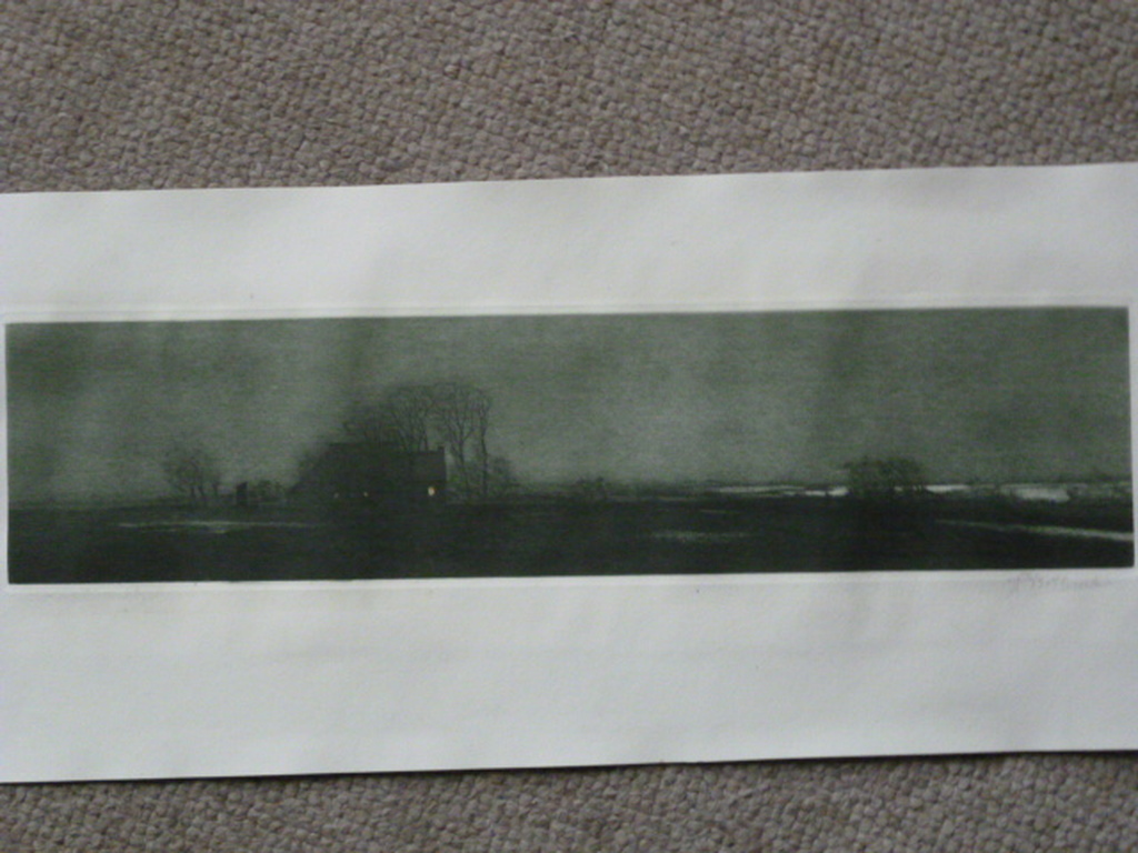 Tjeerd Bottema - kleurenets - Nacht in Friesland verkocht voor € 165!