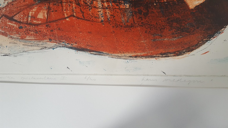 Hans Vredegoor kopen? Bied vanaf 1!