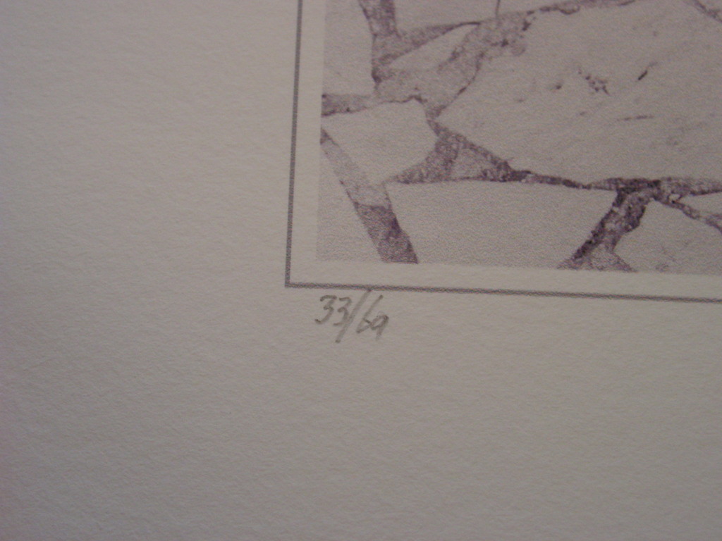 Corneille  -  piezofoto  -  naakt kopen? Bied vanaf 1!