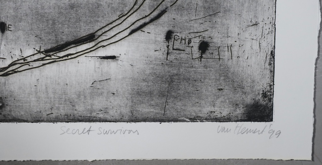 Frank van Hemert: Ets, Secret survivors II kopen? Bied vanaf 50!