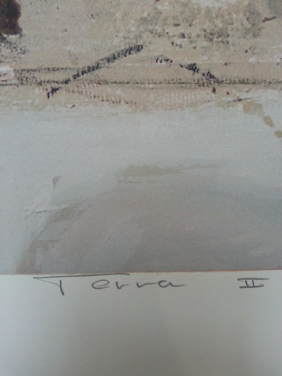 Ron van der Werf, zeefdruk op papier, titel:" Terra II" kopen? Bied vanaf 50!