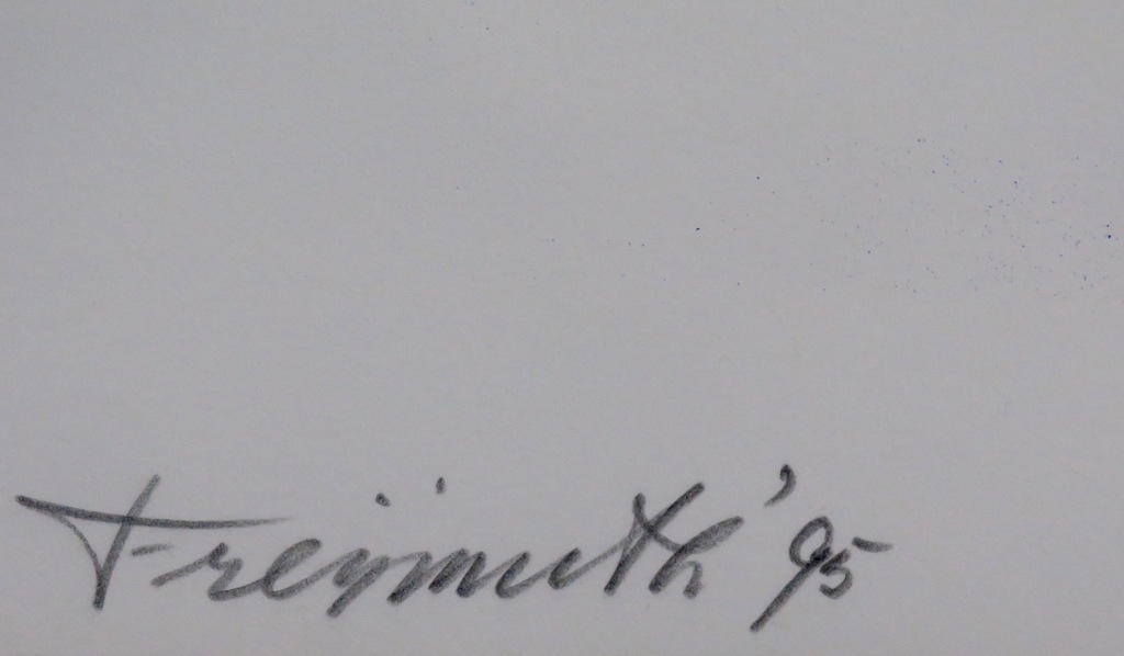 Alphons Freijmuth: Litho, Idool kopen? Bied vanaf 50!