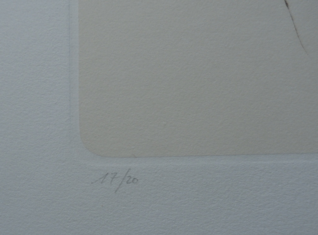 Bert de Keyser - grote ets:  Vrouwelijk naakt 5 kopen? Bied vanaf 45!