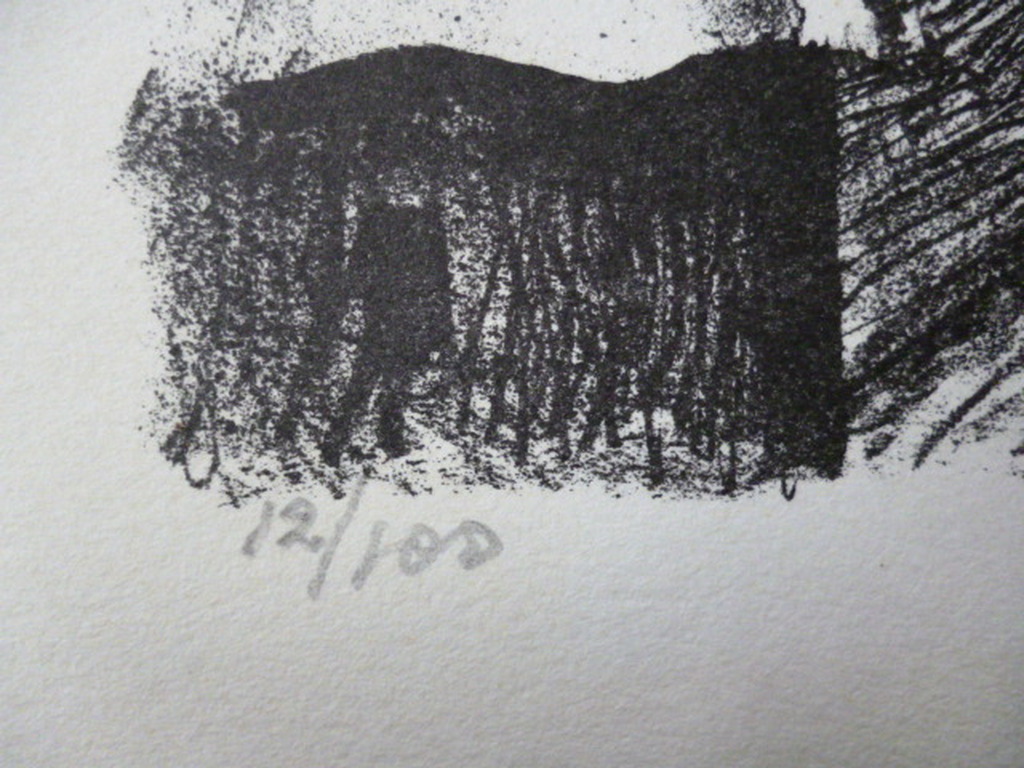 Kees Andrea - litho - Dierenvriend kopen? Bied vanaf 30!