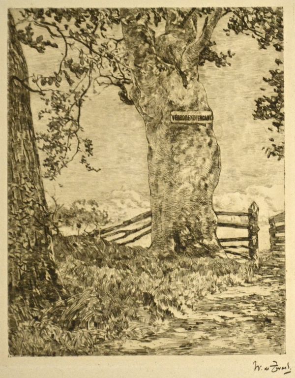 Willem de Zwart: Ets. Boom in Weide kopen? Bied vanaf 50!